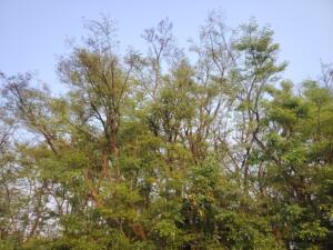 এবং তুমি