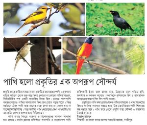 পাখি হলো প্রকৃতির এক অপরূপ সৌন্দর্য
