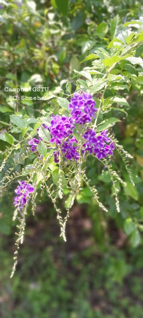 অনুভূতির ভাঁজে প্রকৃতির খোঁজে আপেক্ষিকতা
