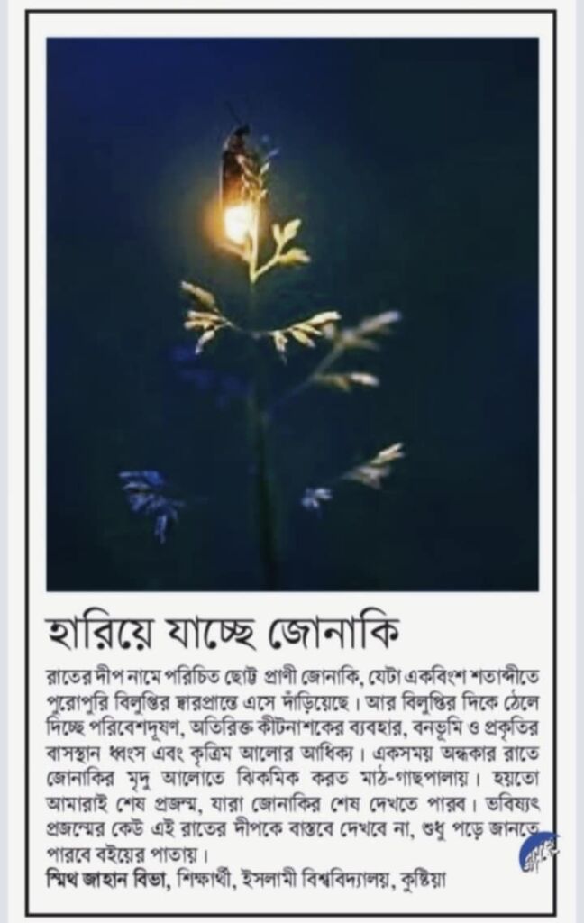 হারিয়ে যাচ্ছে রাতের দীপ জোনাকি