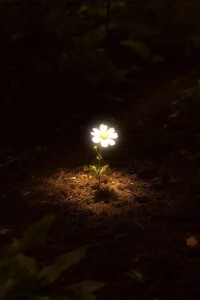 The Wildflower