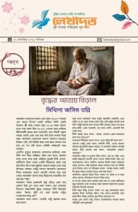 বৃদ্ধের আশ্রয় বিড়াল
